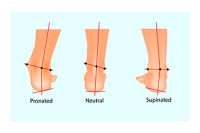 Explaining Supination of the Foot